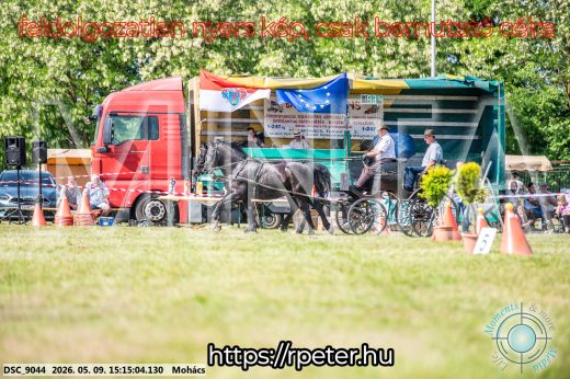 Mintakép 20260509-814