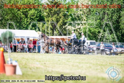 Mintakép 20260509-819
