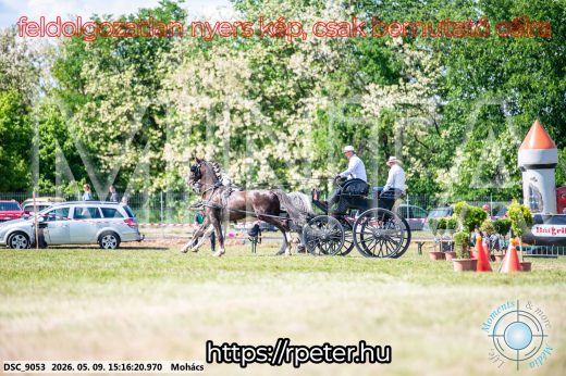 Mintakép 20260509-822