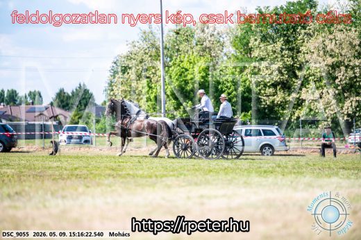 Mintakép 20260509-824