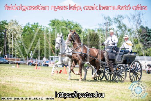 Mintakép 20260509-830