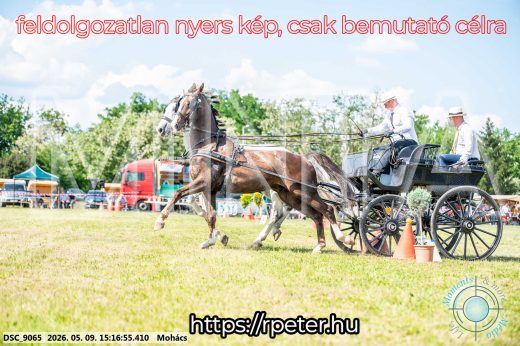 Mintakép 20260509-831