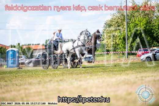 Mintakép 20260509-833