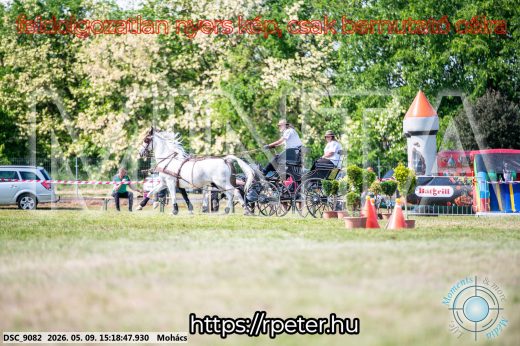 Mintakép 20260509-839