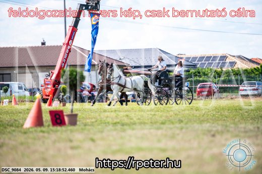 Mintakép 20260509-841