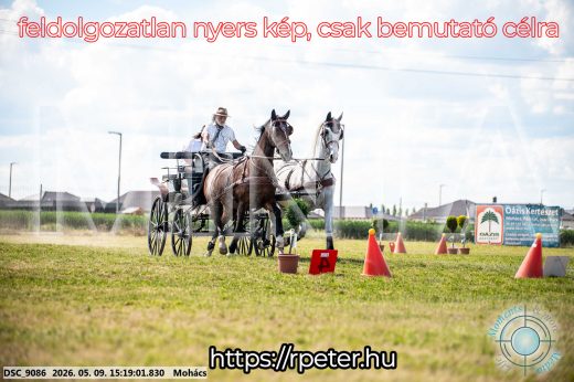 Mintakép 20260509-842