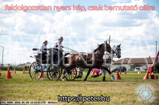 Mintakép 20260509-843