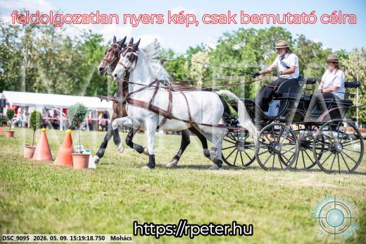 Mintakép 20260509-850
