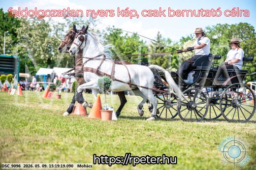 Mintakép 20260509-851