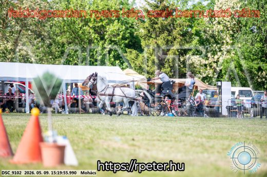 Mintakép 20260509-857