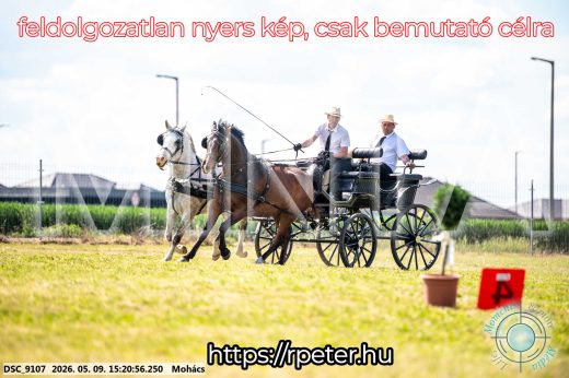 Mintakép 20260509-860