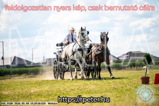 Mintakép 20260509-861
