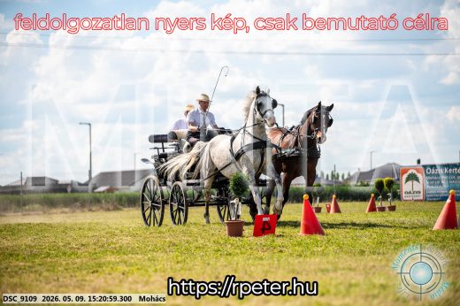 Mintakép 20260509-862
