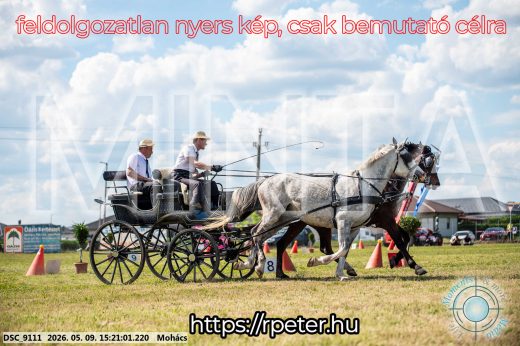 Mintakép 20260509-863