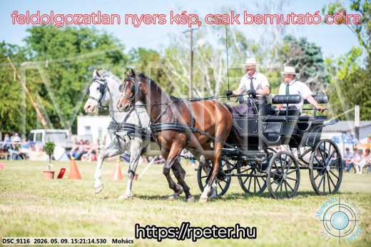 Mintakép 20260509-868