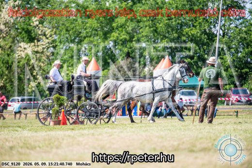Mintakép 20260509-872