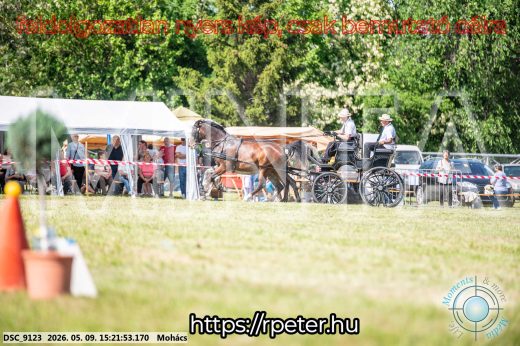 Mintakép 20260509-873