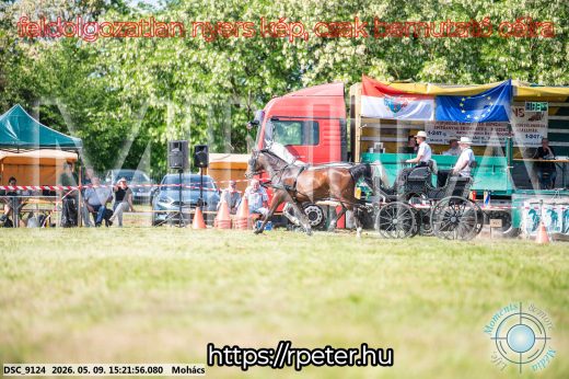 Mintakép 20260509-874