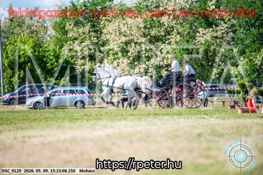 Mintakép 20260509-877