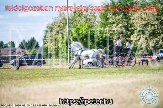 Mintakép 20260509-878