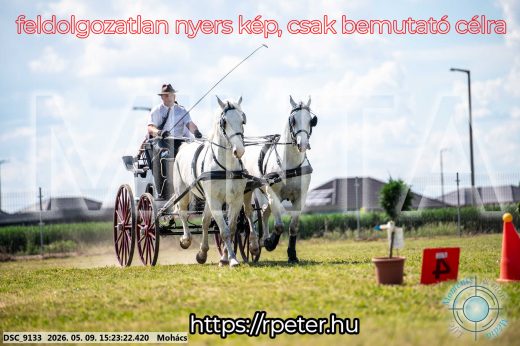 Mintakép 20260509-879