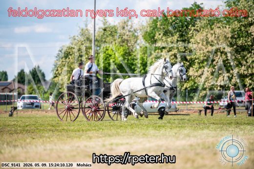 Mintakép 20260509-887