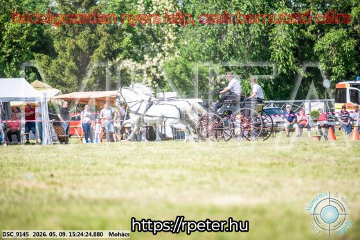 Mintakép 20260509-890