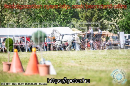 Mintakép 20260509-892