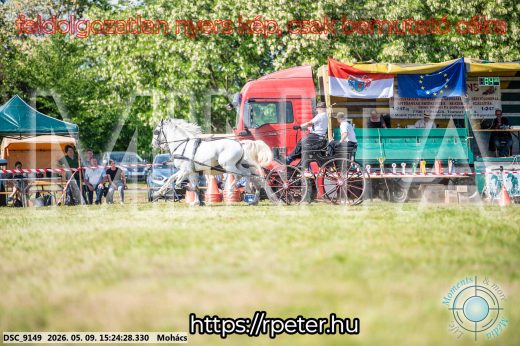 Mintakép 20260509-894