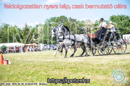 Mintakép 20260509-905