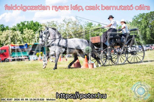 Mintakép 20260509-906