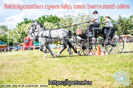 Mintakép 20260509-907