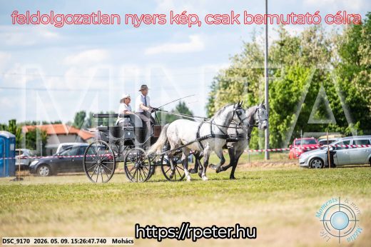 Mintakép 20260509-909