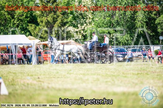 Mintakép 20260509-913