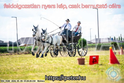 Mintakép 20260509-917