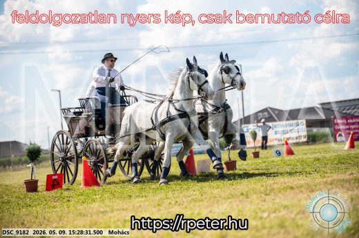 Mintakép 20260509-919