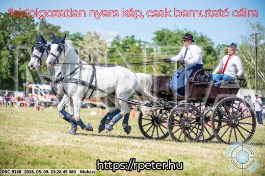 Mintakép 20260509-924