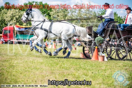 Mintakép 20260509-926