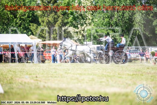 Mintakép 20260509-931
