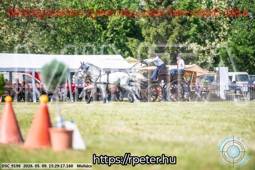 Mintakép 20260509-932