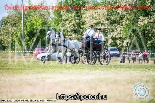 Mintakép 20260509-936