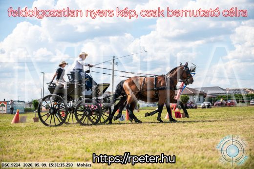 Mintakép 20260509-942