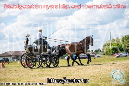 Mintakép 20260509-943