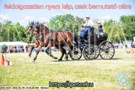 Mintakép 20260509-946