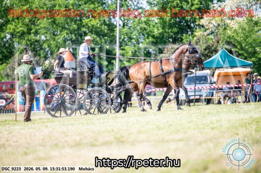 Mintakép 20260509-948