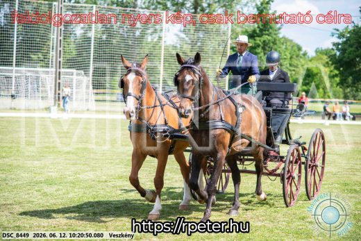 Mintakép 20260612-408