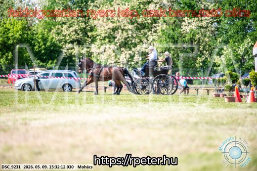Mintakép 20260509-950