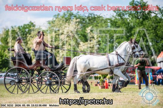 Mintakép 20260509-951