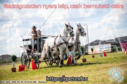 Mintakép 20260509-953