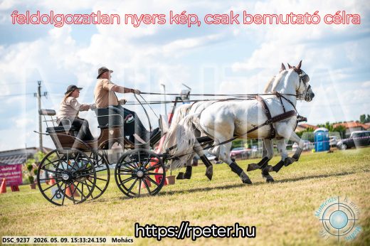 Mintakép 20260509-954